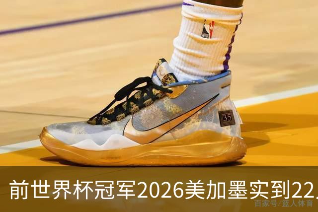 前世界杯冠军2026美加墨实到22人 诺伊尔将率先出战